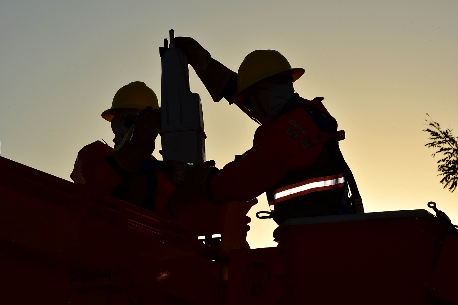 Atenção redobrada com a rede elétrica na zona rural: confira 3 cuidados essenciais