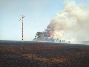 Calor extremo, tempo seco e ventos fortes aumentam risco de queimadas em Goiás