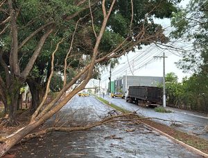Rio Verde entra em alerta para temporais e rajadas de vento