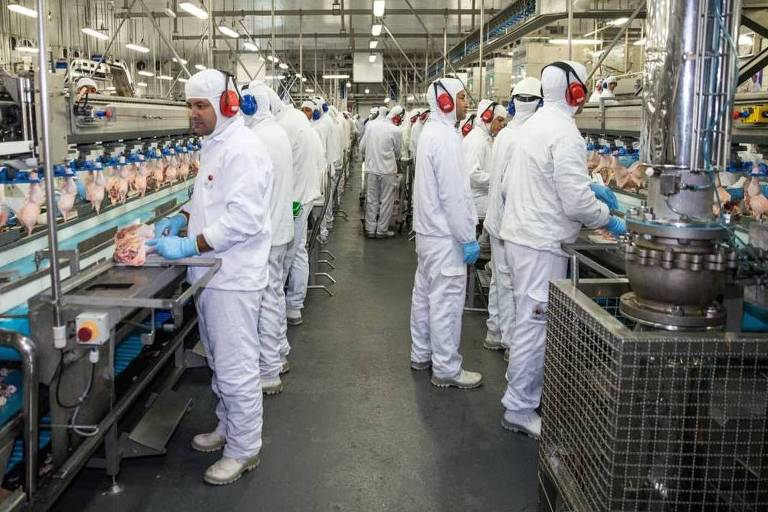 Desemprego cai para 5,2% e Brasil registra menor taxa para o terceiro trimestre desde 2012